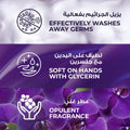 Hand Wash Liquid Magical Beauty Floral Scent Cleansing Formula Lux 250ml