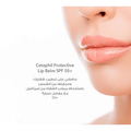 Cetaphil Sunscreen Lip Balm SPF 50 Moisturizing Protection 8 ml