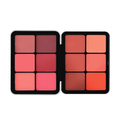 Make Over 22 Blush Palette 12 Colors, Matte & Shimmer, BP01