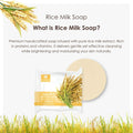 Saboo Herbal Rice Soap - 100 g