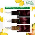 Garnier Hair Color 3.6 Dark Reddish-Brown 112ml