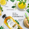 Best Hair Conditioner Golden Moringa Oil Nourishing Herbal Essences 400ml