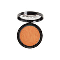 Top Rated Blusher Shimmer Indian Summer Technic 11g