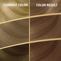 Wella Koleston Permanent Hair Dye, 6/0 Dark Blonde, 110ml
