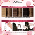 L'Oreal Paris Permanent Hair Dye, Dark Blonde 6, Gray Coverage, 192ml