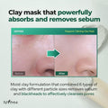Mugwort Soothing Clay Mask Oily Sensitive Skin 100ml Isntree