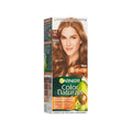 Brown Hair Dye Gazelle Brown 7.7 Gray Coverage Garnier 1 Pack