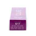 Best Wash In Hair Color To Cover Gray Permanent Dye No 6/17 Lakme 60ml
