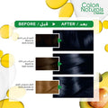 Blue Hair Dye Blue Black 2.10 Garnier Color Naturals 1 Pack
