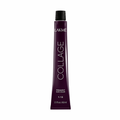 Lakme Permanent Hair Color 10.00 Platinum Blonde 60ml