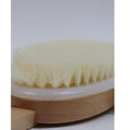 Salon System Long Handle Body Shower Brush with Wooden Handle