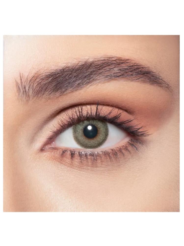 Top Rated Colored Contact Lenses Daily Pine Bella 10 Pack