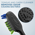 Oral-B Clic Whitening Replacement Toothbrush Heads, 2-Pack