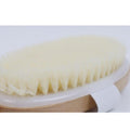 Salon System Long Handle Body Shower Brush with Wooden Handle