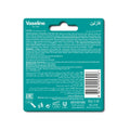 Vaseline Lip Balm Lip Therapy Mint Refreshing Hydrating Formula 4.8g