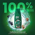 Charcoal Shampoo For Oily Hair 4-in-1 Caffeine Deep Cleansing Pert Plus 360ml