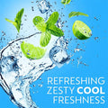 Dettol Cool Antibacterial Body Wash with Mint & Bergamot and Loofah 250ml