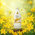 Best Shea Butter Body Lotion Nourishing French Lily Enchanteur 500g