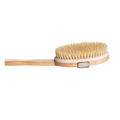 Basic Care Long Wooden Handle Bath Brush, Exfoliating Body Scrubber