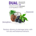 2Chic Repairing Shampoo Blackberry & Coconut Milk Giovanni 250ml
