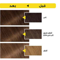 Garnier Ammonia-Free Hair Color, Almond 7.31, 112ml