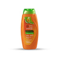 Shampoo and Conditioner for Curly Hair Aloe Vera Melon MAKARIZO 170ml