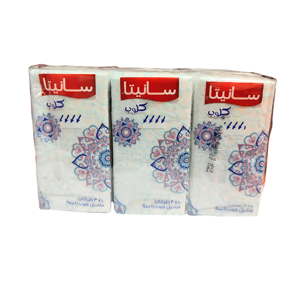 Sanita Pocket Tissues 3-Ply 10 Tissues 6 Pack