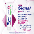 Gum Care Toothpaste Fresh Mint Formula Signal 75ml