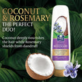 Parachute Advanced Coconut & Rosemary Balm for Scalp Care - 300ml
