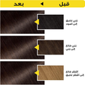 Garnier Ammonia-Free Hair Color, Icy Chocolate 4.15, 112ml