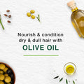 Best Shampoo for Oily Hair Daily Care Olive Oil Himalaya 400ml