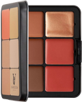 Blush Bronzer Contour Palette Versatile Creamy Shades Vanessa Makeup