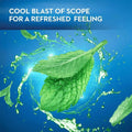 Mouthwash Strips Mint Fresh Breath Feel Cool 24 Strips