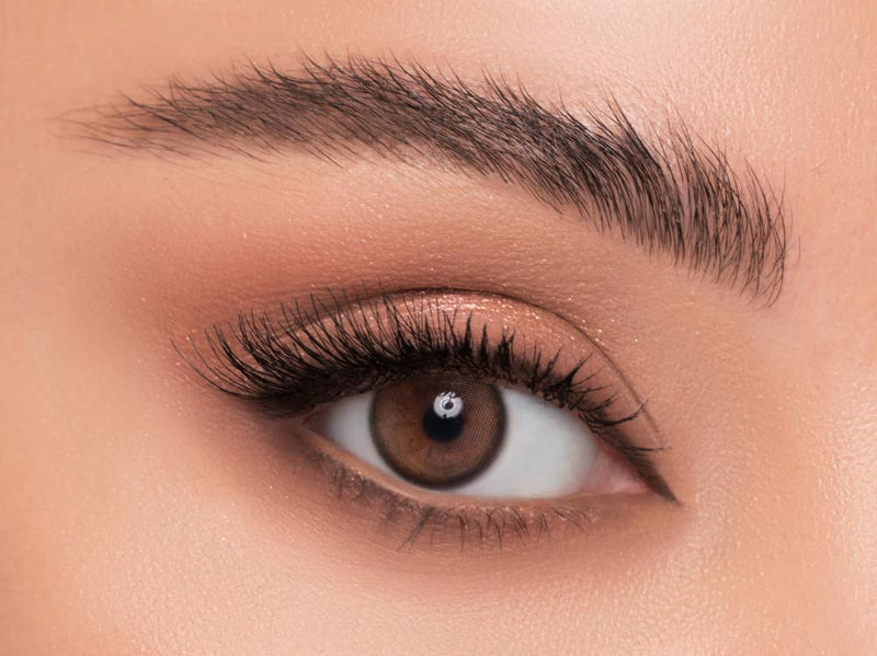 Top Rated Colored Contact Lenses Latte Cosmetic Enhancement Linda 1 Pair