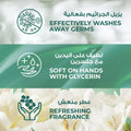 Hand Wash Liquid Purifying Watermint & Almond Oil Refreshing Lux 250ml