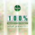 Buy Shower Gel Refreshing Deep Cleanse Dettol with Loofah 250ml