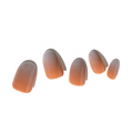 Loca A6 Ombre Color Oval Shape Acrylic False Nails