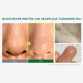 Oil Cleanser for Pores Heartleaf Extract Pore Control Anua 20ml