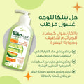 Facial Gel Wash Hydrating Cucumber Watermelon Dry Skin Belka 200ml