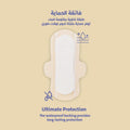 Cotton Sanitary Pads Large With Wings Organic Circles 16 Pads