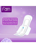 Best Sanitary Pads for 10 Year Olds Classic Large with Wings Fam 40 Pieces
