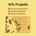 Propolis Vitamin Sleeping Mask Hydrating Night Cream iUNIK 60ml