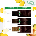 Chocolate Brown Hair Dye Permanent Rich Shade Garnier 112ml