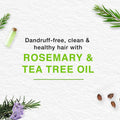 Gentle Cleansing Anti-Dandruff Shampoo Tea Tree & Rosemary Himalaya 800ml