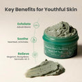 Mugwort Pore Clarifying Wash Off Pack Deep Cleansing Mask AXIS-Y 100ml
