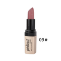 Yolande Beauty Creamy Matte Lipstick 09, Vitamin E, Macadamia Oil, 3.8g