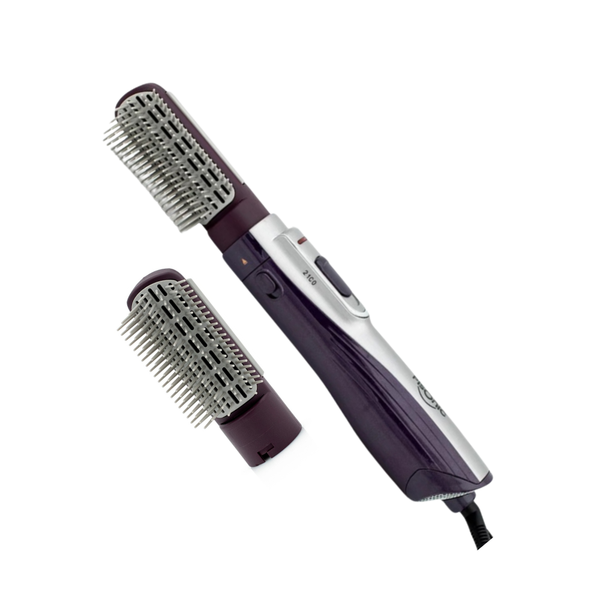 Bisonic PH1012 1000W Hair Dryer and Styler with Two Brushes