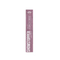 Matte Liquid Lipstick Waterproof Long-Lasting Formula Forever 52 004