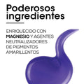 Silver Shampoo for Gray Hair Neutralizing Magnesium L'Oréal Professionnel 1500ml