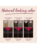 Palette Permanent Hair Color Dark Chocolate 3-56 | 50 ml